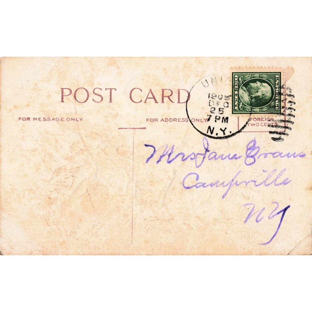 Antique Birthday Greetings Postcard Birds Nest 1905 Union NY Postmark Embossed - Picture 2 of 2